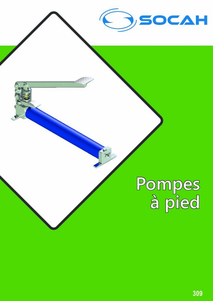 Pompes-a-pied